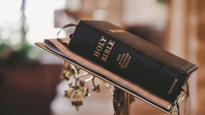 正后方的神威 示意图